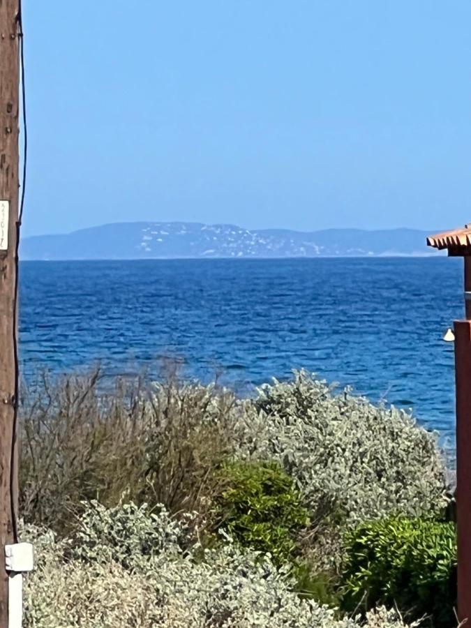 Plein Sud, Bel Appartement 20 Metres De La Plage La Capte Hyères Екстериор снимка
